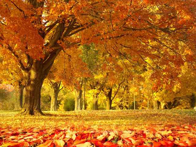 Short videos Short videos Short videos Short videos