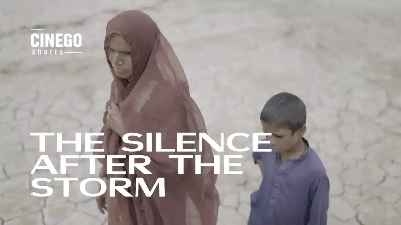 Behind the Scenes of Modern Cinema